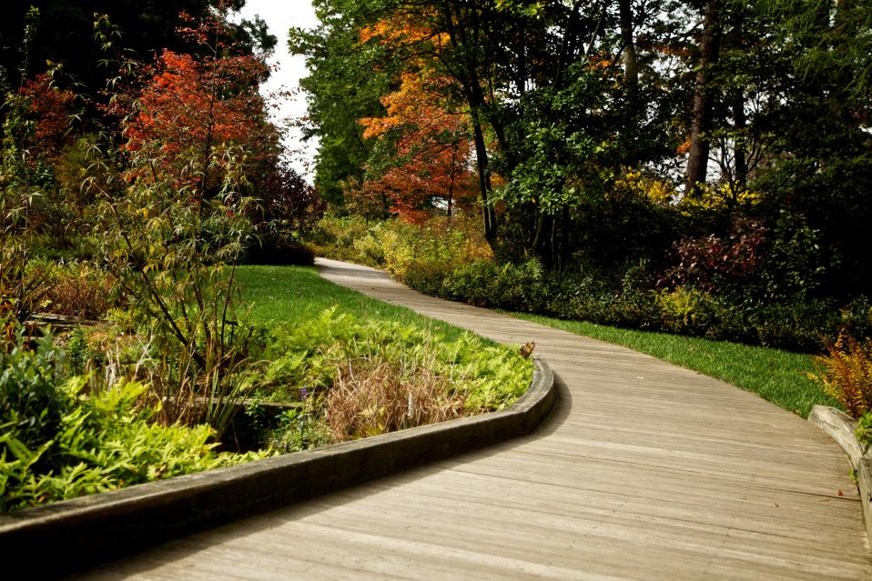 Landscape design and drafting